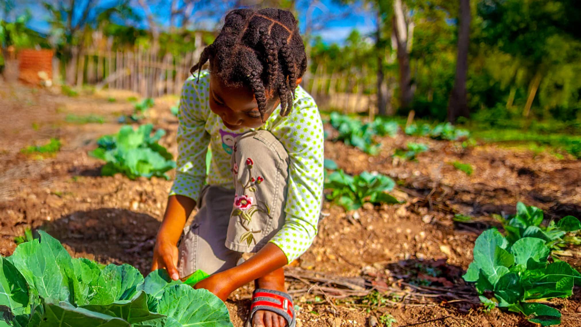 The Story of the Matènwa Community Learning Center
