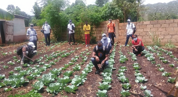 Can Matènwa Survive Corona?